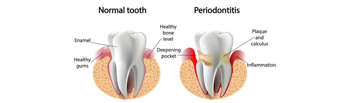 Biological Dentistry